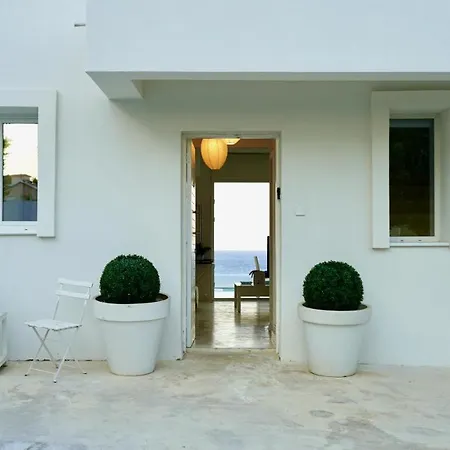 Narcissus 19 Paralimni