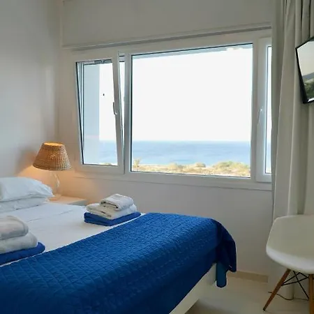 Narcissus 19 * Paralimni