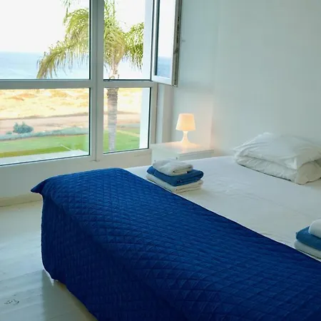 Narcissus 19 * Паралимни