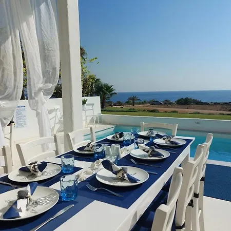 Narcissus 19 * Paralimni