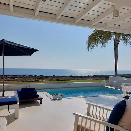 Narcissus 19 Paralimni