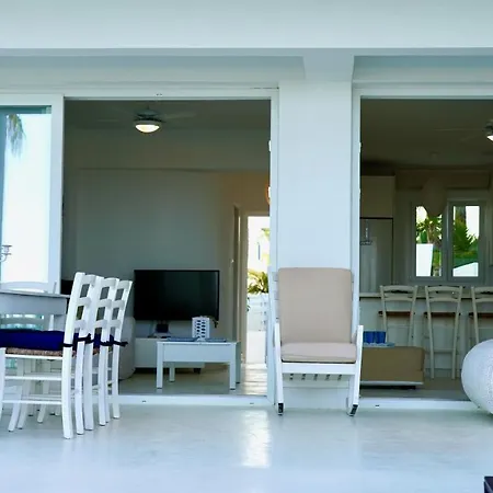 Narcissus 19 Paralimni