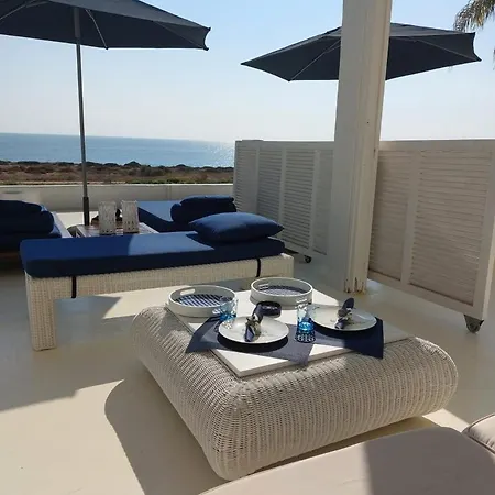 Narcissus 19 Paralímni